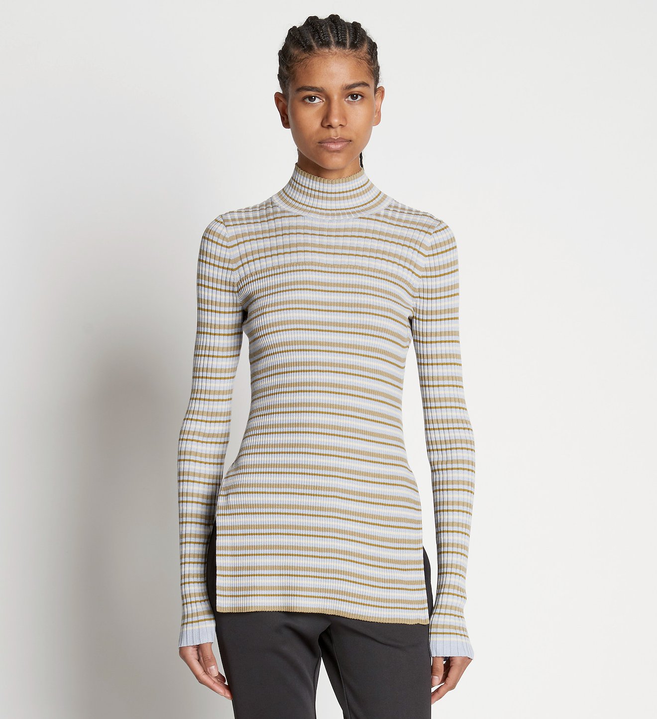 Stripe Knit Turtleneck
