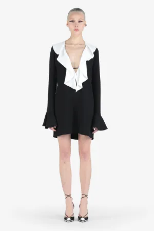 Ruffled Mini Dress