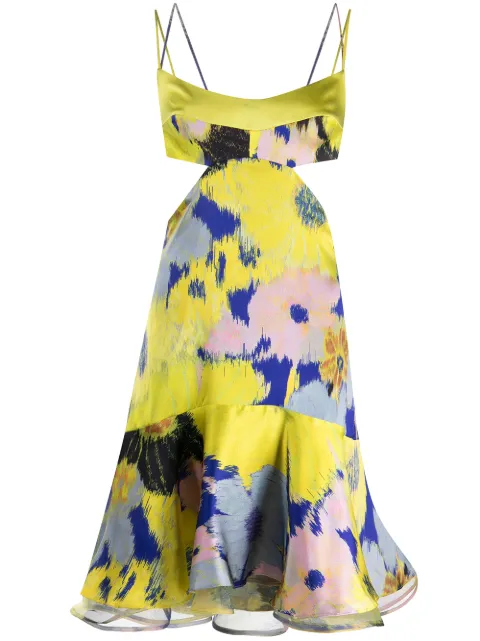 Silvia Tcherassi Analissa cut-out detail dress