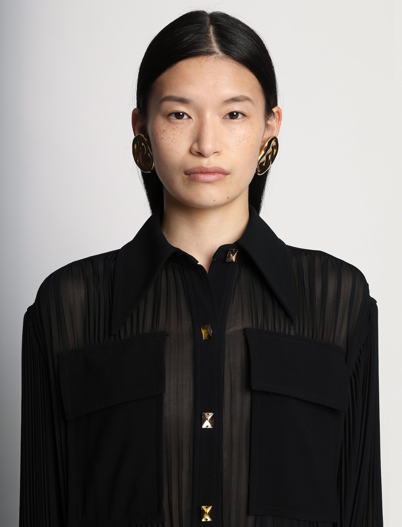 Sheer Pleated Flou Dress #3