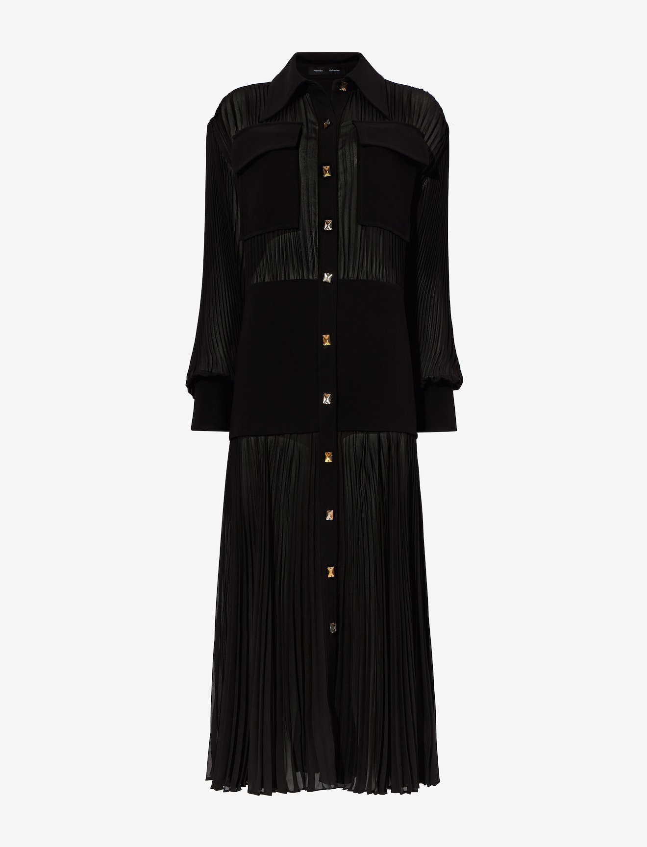 Sheer Pleated Flou Dress #4