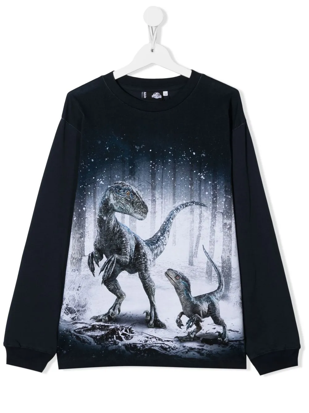 

Molo sudadera con estampado Rube Forest Dino - Azul