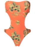 Lygia & Nanny Taylor floral-print swimsuit - Orange