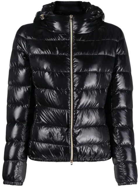 Herno down-feather padded jacket