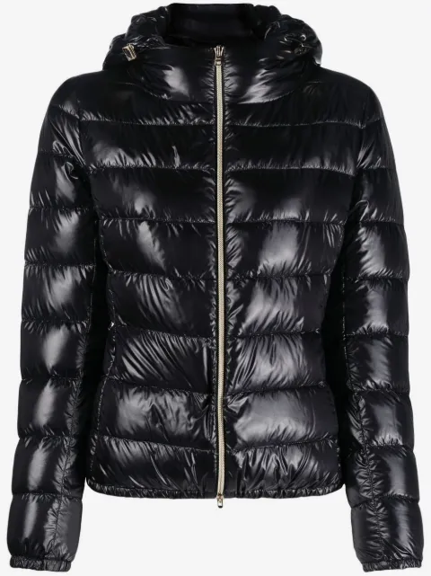 Herno hooded padded jacket