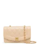 CHANEL Pre-Owned 1994-1996 small Diana shoulder bag - Brown