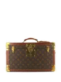 Louis Vuitton Pre-Owned 1990 Malle À Livres trunk - Brown