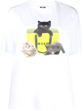 MSGM