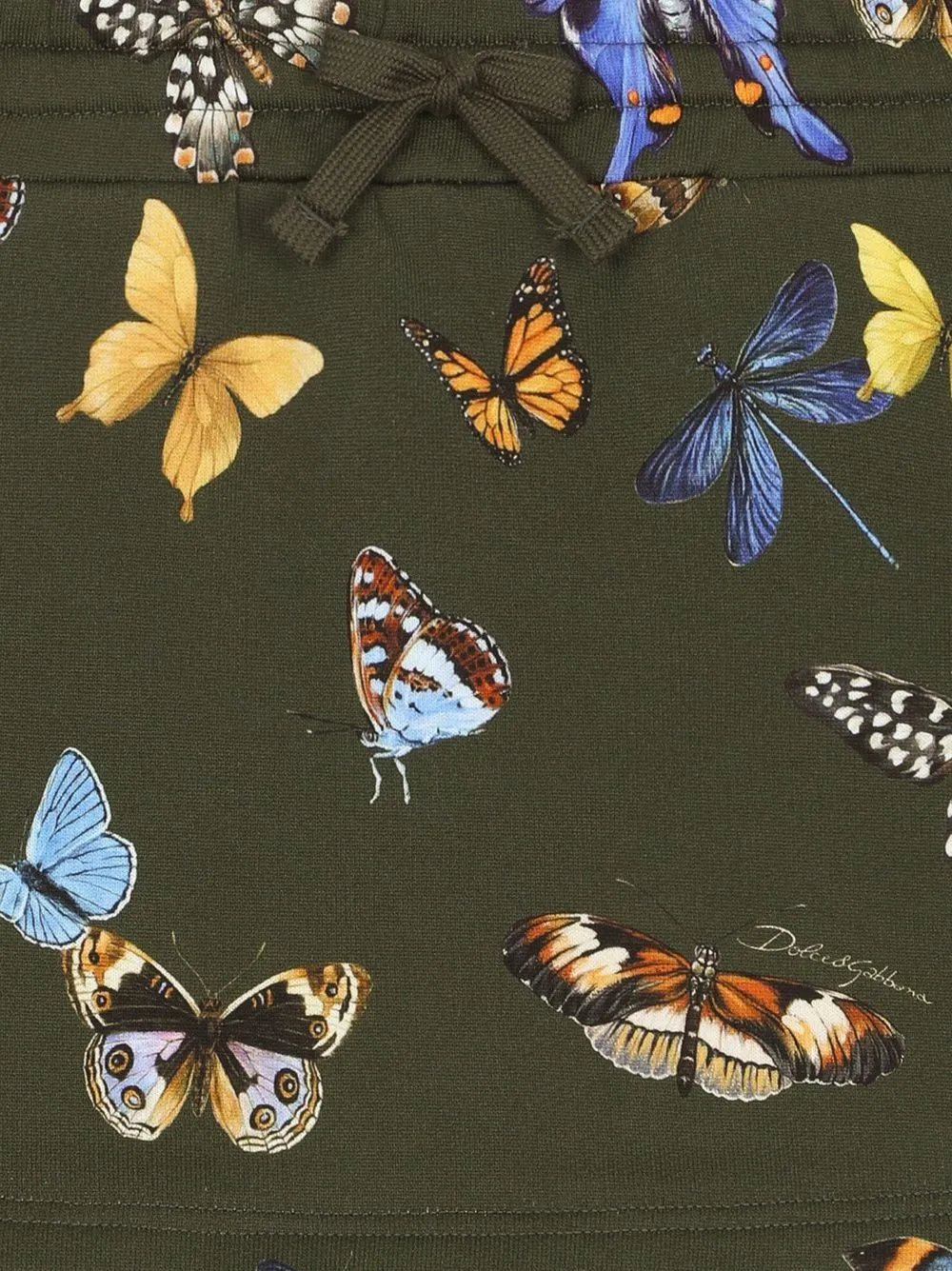  Dolce & Gabbana Kids Jerseyrock Mit Schmetterling Print   Grün 