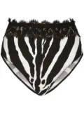 Dolce & Gabbana high-waisted zebra-print briefs - Black