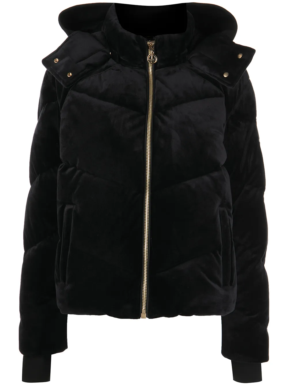 Moose Knuckles Velvet-effect Padded Hooded Jacket In Black