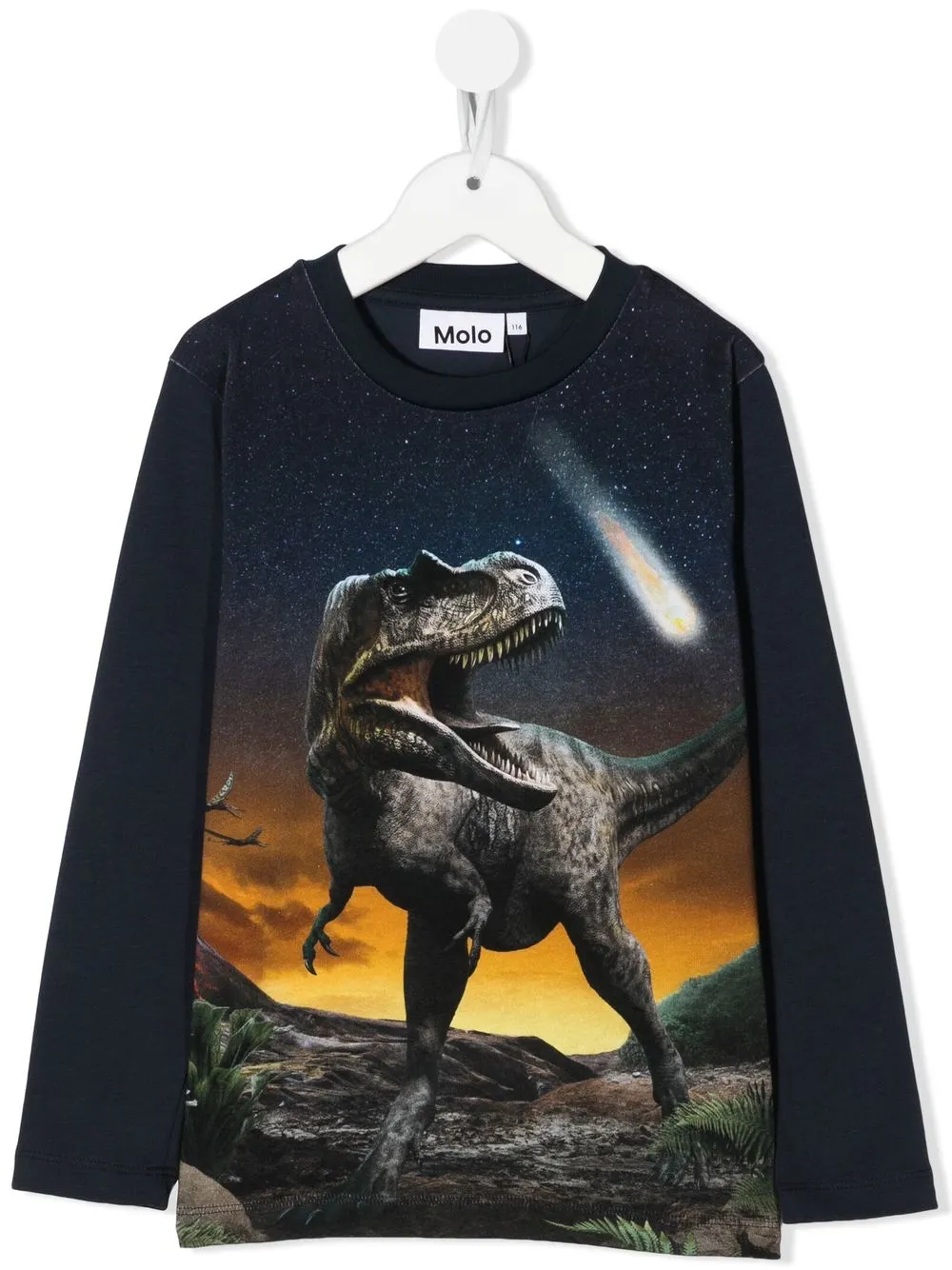 

Molo dinosaur-print long-sleeved T-shirt - Blue