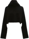 JW Anderson cut-out oversized cropped jumper - Black