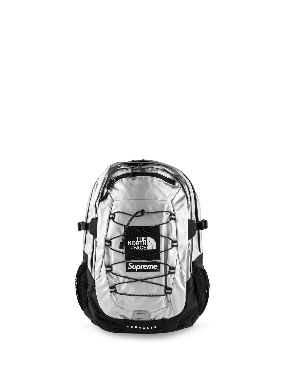 Supreme North Face Metallic Backpack