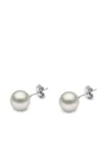 Yoko London 18kt white gold Classic 9mm South Sea pearl stud earrings - Silver