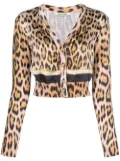 Roberto Cavalli leopard-print cropped cardigan - Neutrals