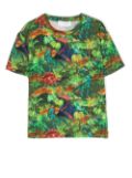 Roberto Cavalli Junior dinosaur-motif illustration-print T-Shirt - Green