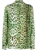 Roberto Cavalli leopard-print long-sleeve shirt - Green