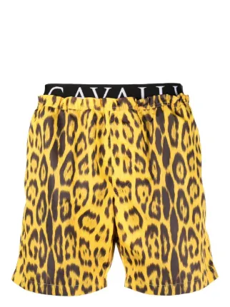 Roberto Cavalli
