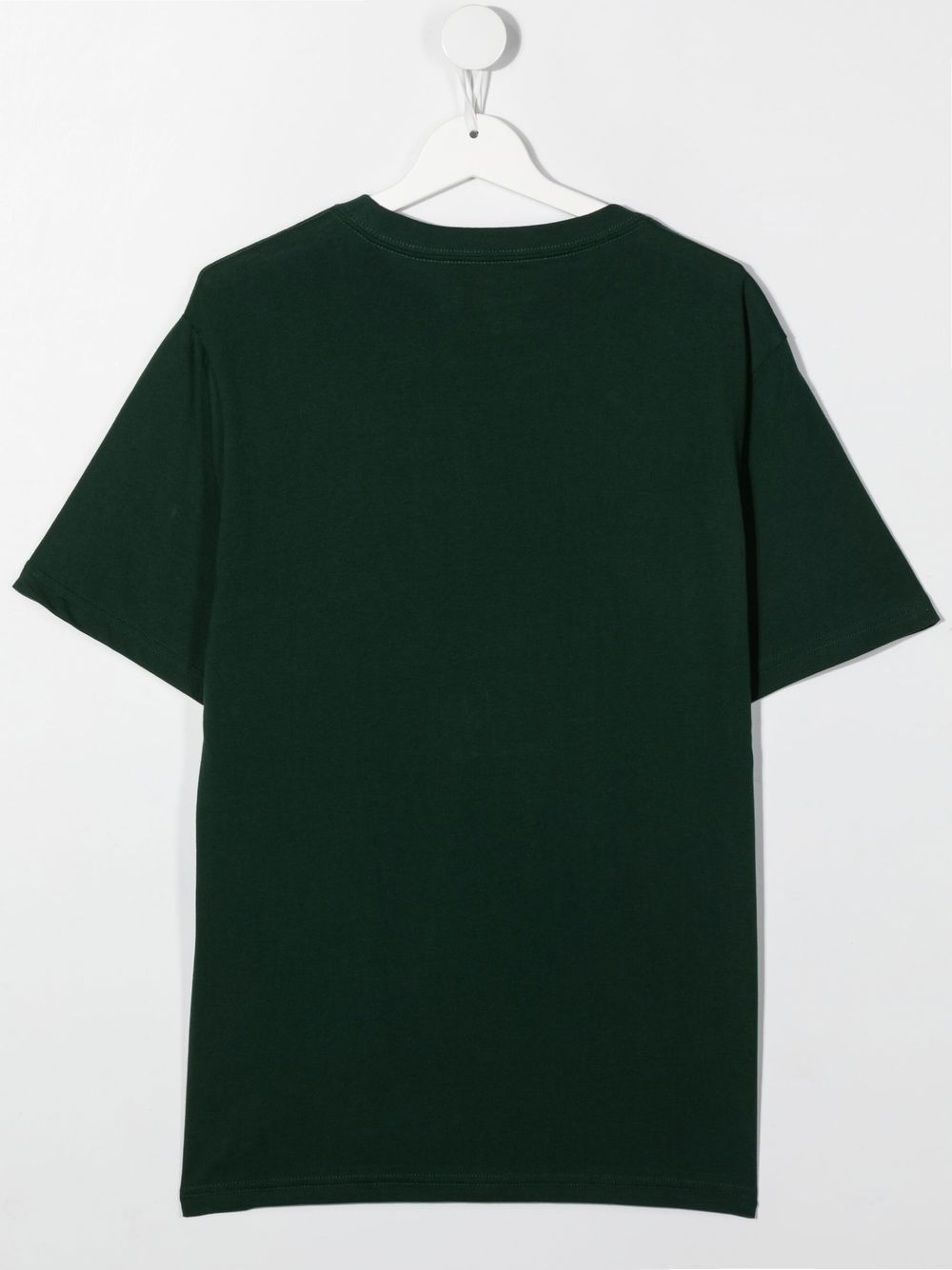 Ralph Lauren Kids T-shirt met ronde hals - Groen