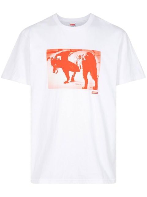 daido moriyama shirt