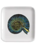 Fornasetti Conchiglia Fossile porcelain ashtray (12cm) - White