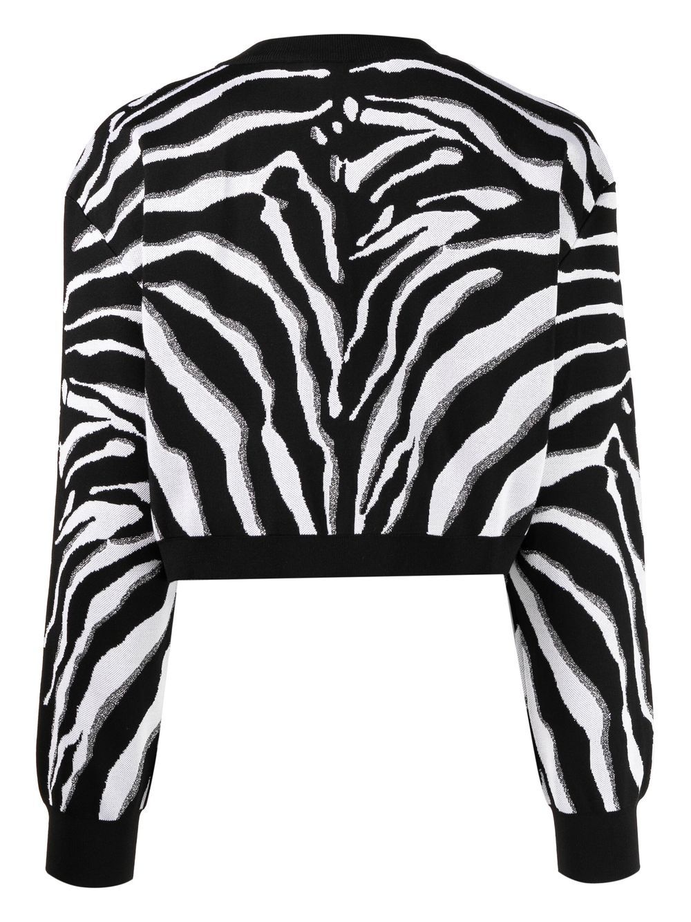 Dolce & Gabbana Trui met zebraprint - Zwart