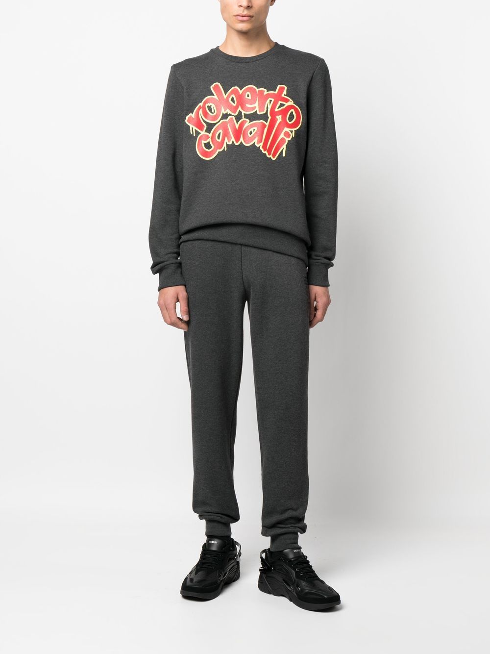 Roberto Cavalli Sweater met logoprint - Grijs
