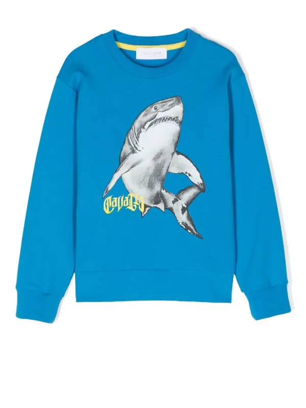 Shark best sale print sweatshirt