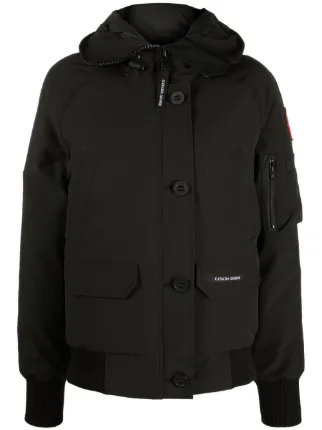Canada Goose
