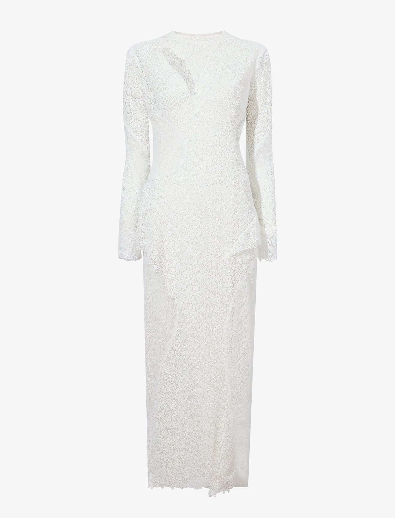 Embroidered Lace Dress #4