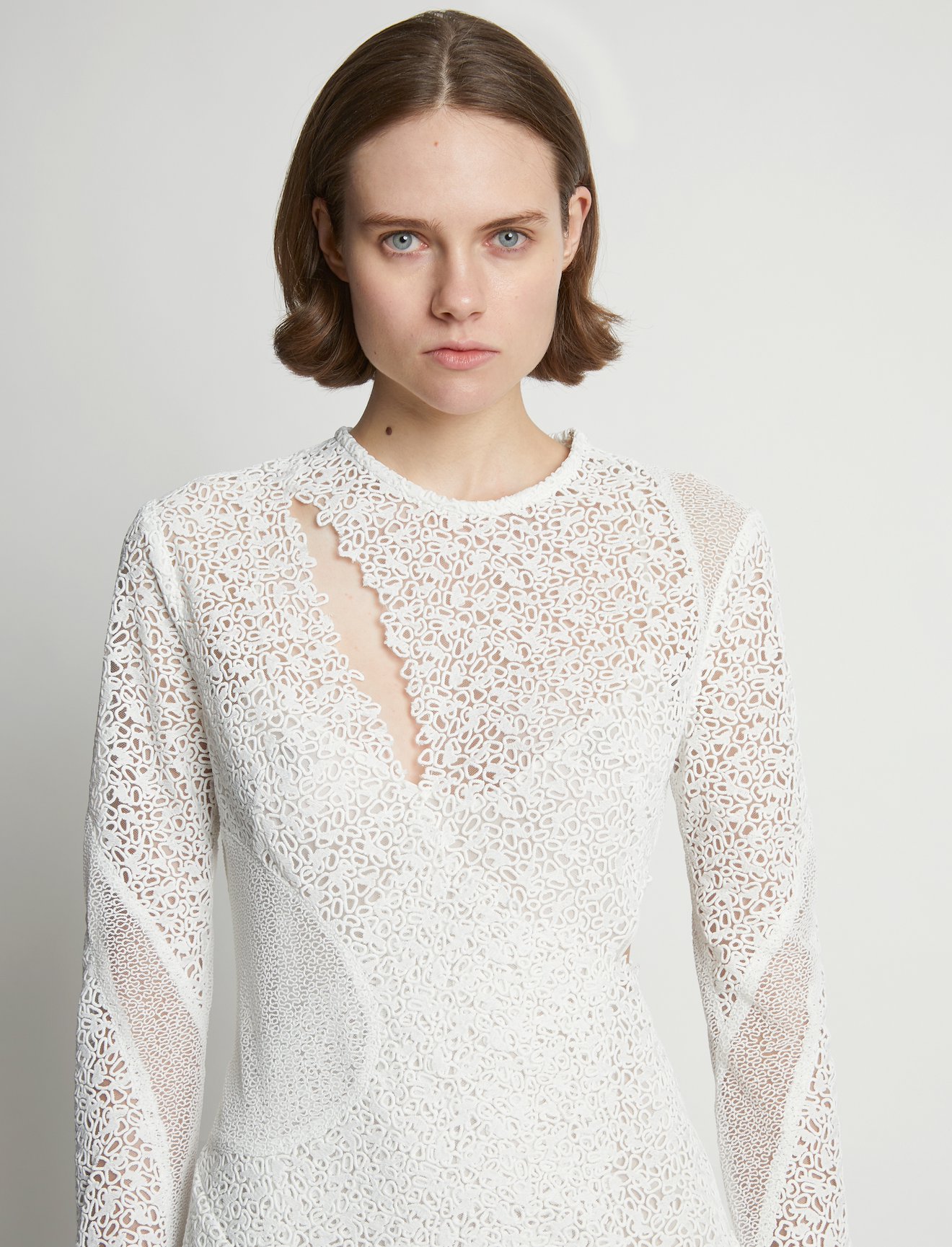 Embroidered Lace Dress #3