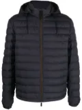 Zegna hooded padded jacket - Blue