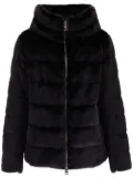 Herno high-neck feather-down jacket - Black