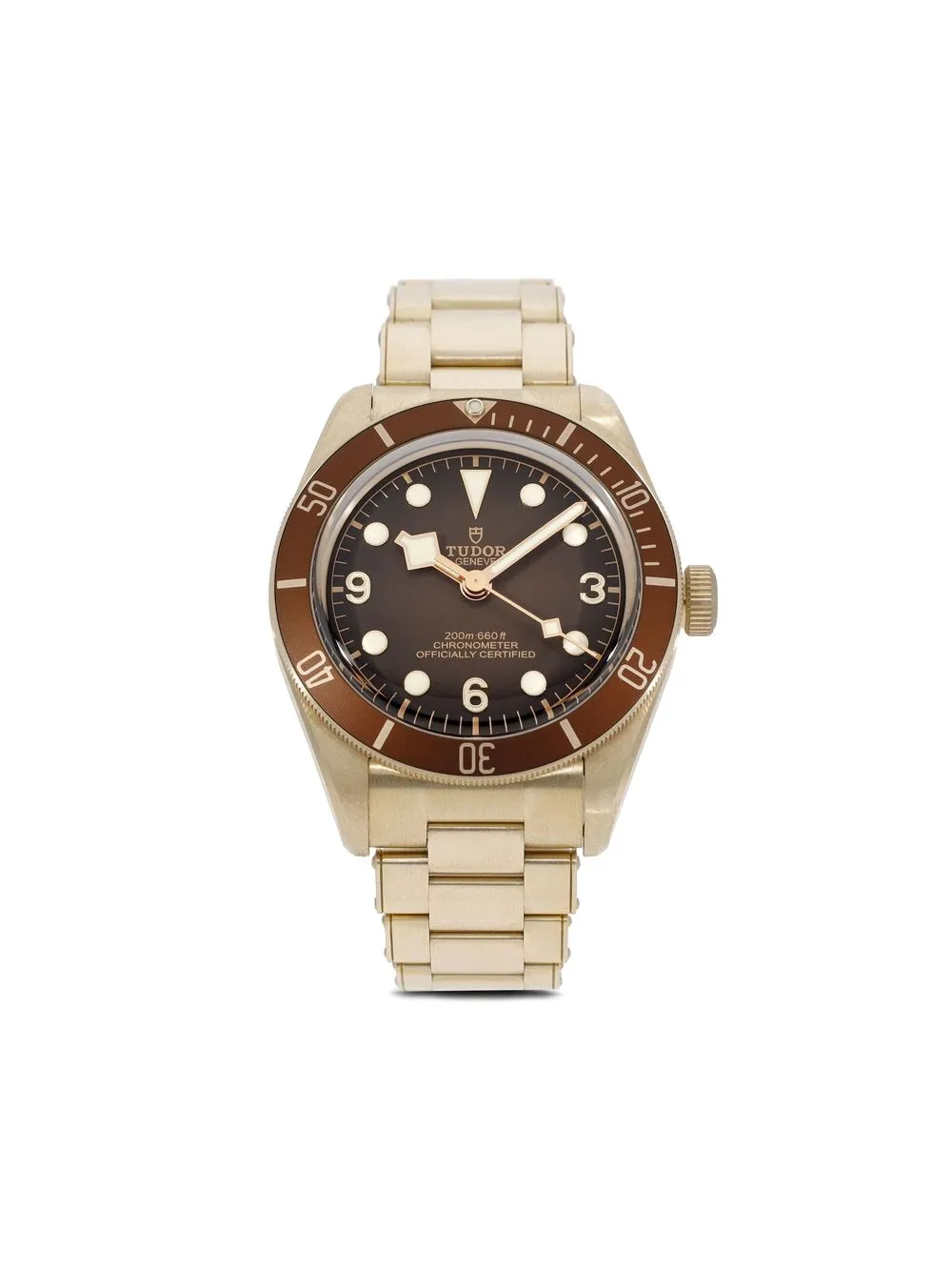 

TUDOR 2021 unworn Black Bay 39mm - Brown