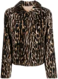 Yves Salomon leopard-print shearling jacket - Brown