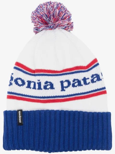 Patagonia ロゴ ビーニー