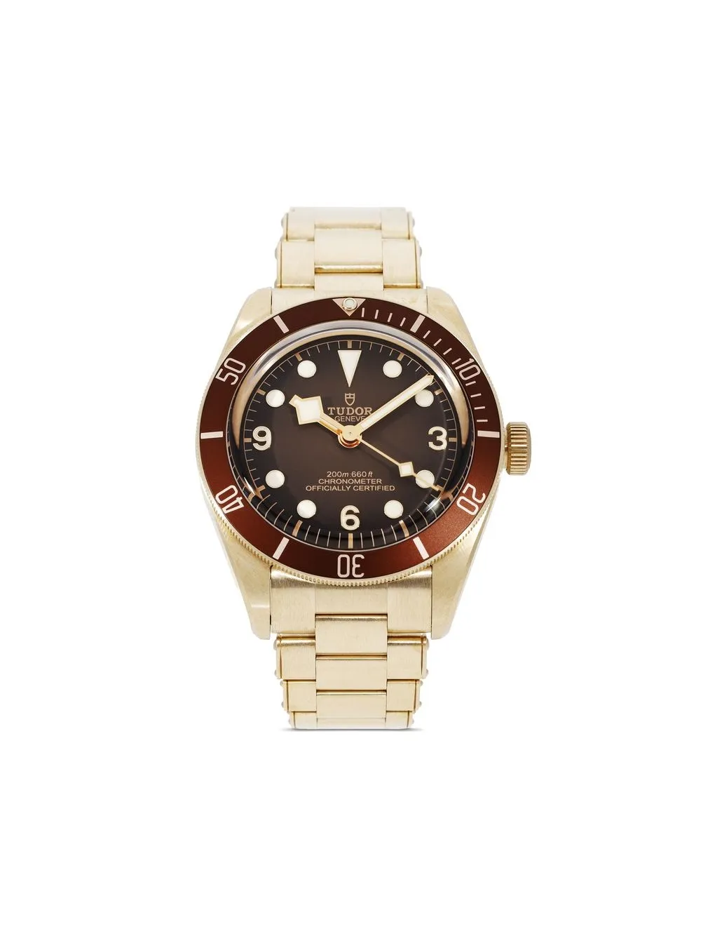 

TUDOR 2022 pre-owned Black Bay 39mm - Brown