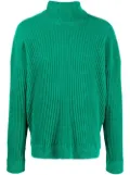 Bonsai ribbed roll-neck jumper - Green