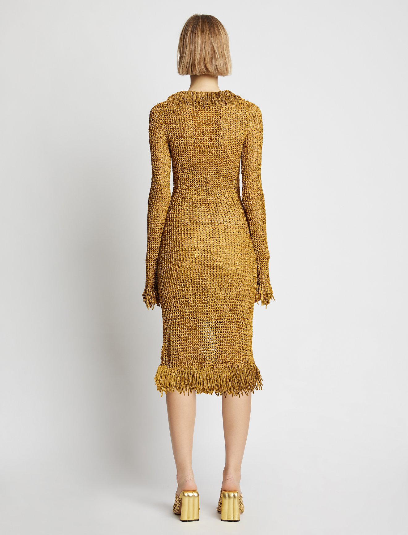 Crochet Long Sleeve Dress #1