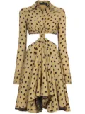 Proenza Schouler dot-print cut-out shirtdress - Neutrals