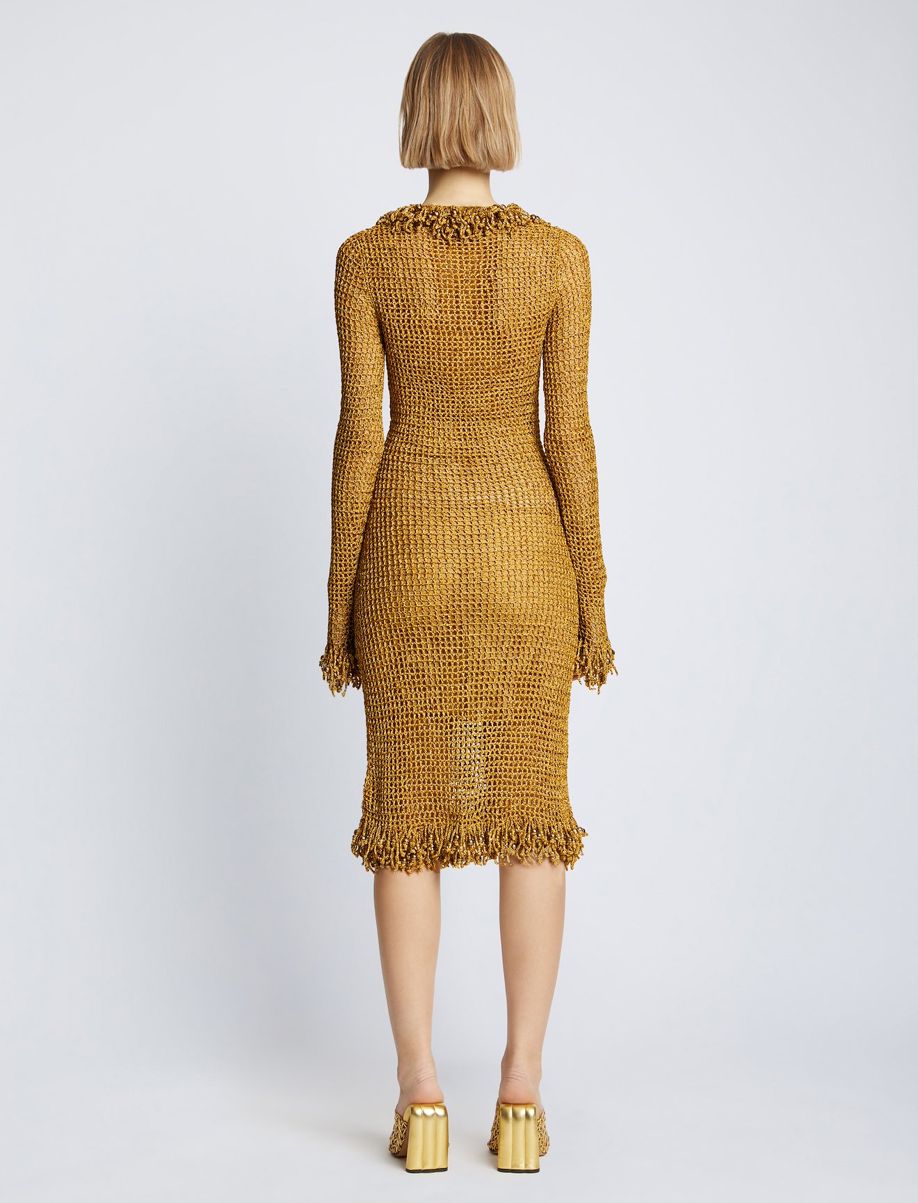 Embroidered Crochet Long Sleeve Dress #2