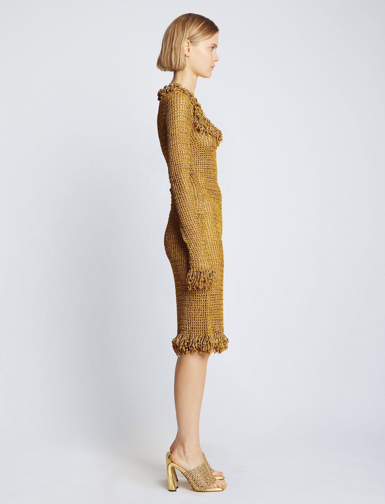 Embroidered Crochet Long Sleeve Dress #1