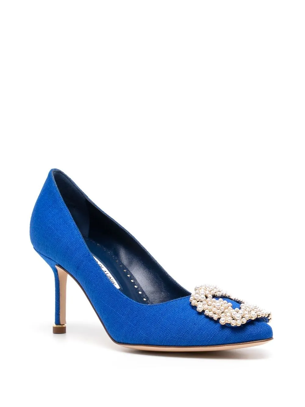 Manolo Blahnik Hangisi pumps - Blauw