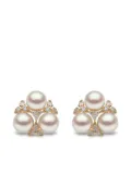 Yoko London 18kt yellow gold Raindrop Akoya pearl and diamond earrings