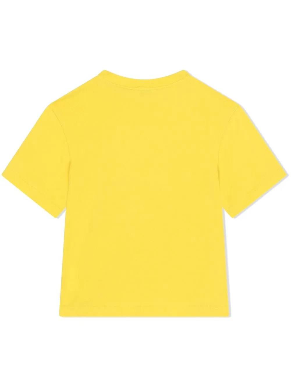 Dolce & Gabbana Kids T-shirt met logoprint - Geel