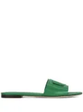 Dolce & Gabbana DG Logo leather slides - Green