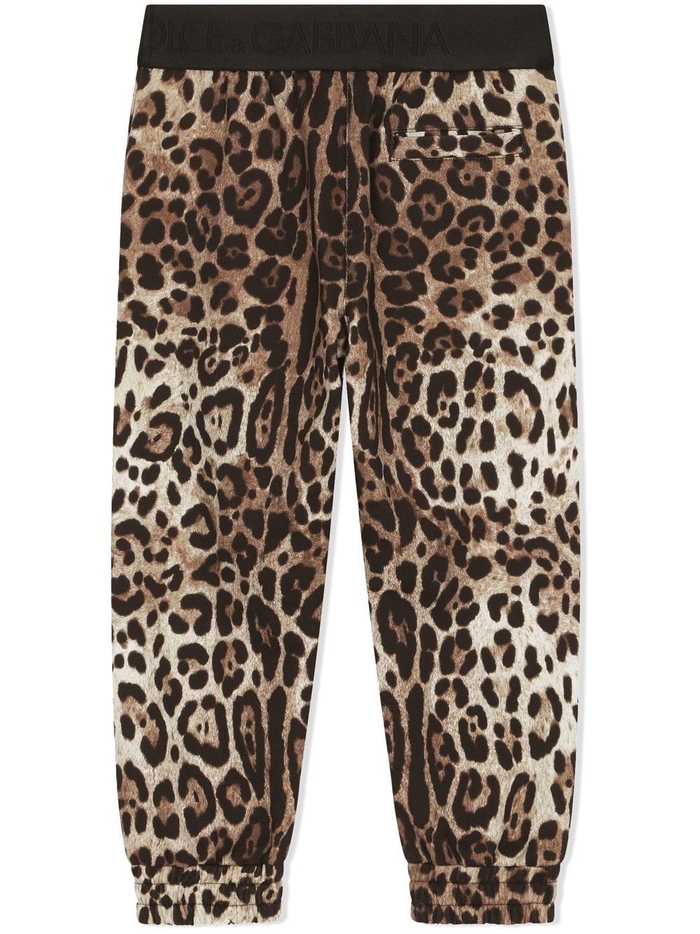 Shop Dolce & Gabbana Leopard-print Track Pants In Brown