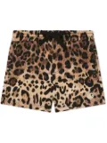 Dolce & Gabbana Kids leopard-print track shorts - Brown