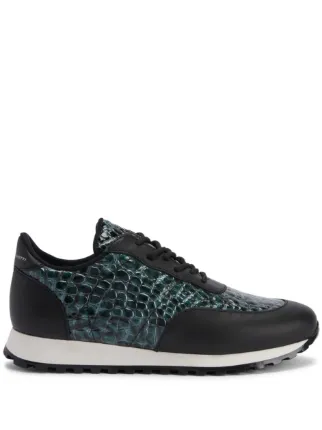 Giuseppe Zanotti